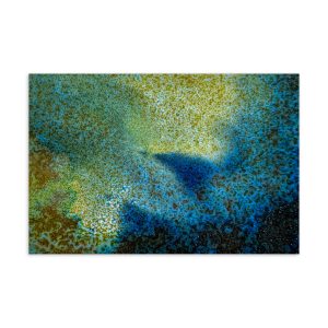 MIGRAR Postcard - Migrant Protection Spell #1