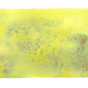 Limon - Original Painting