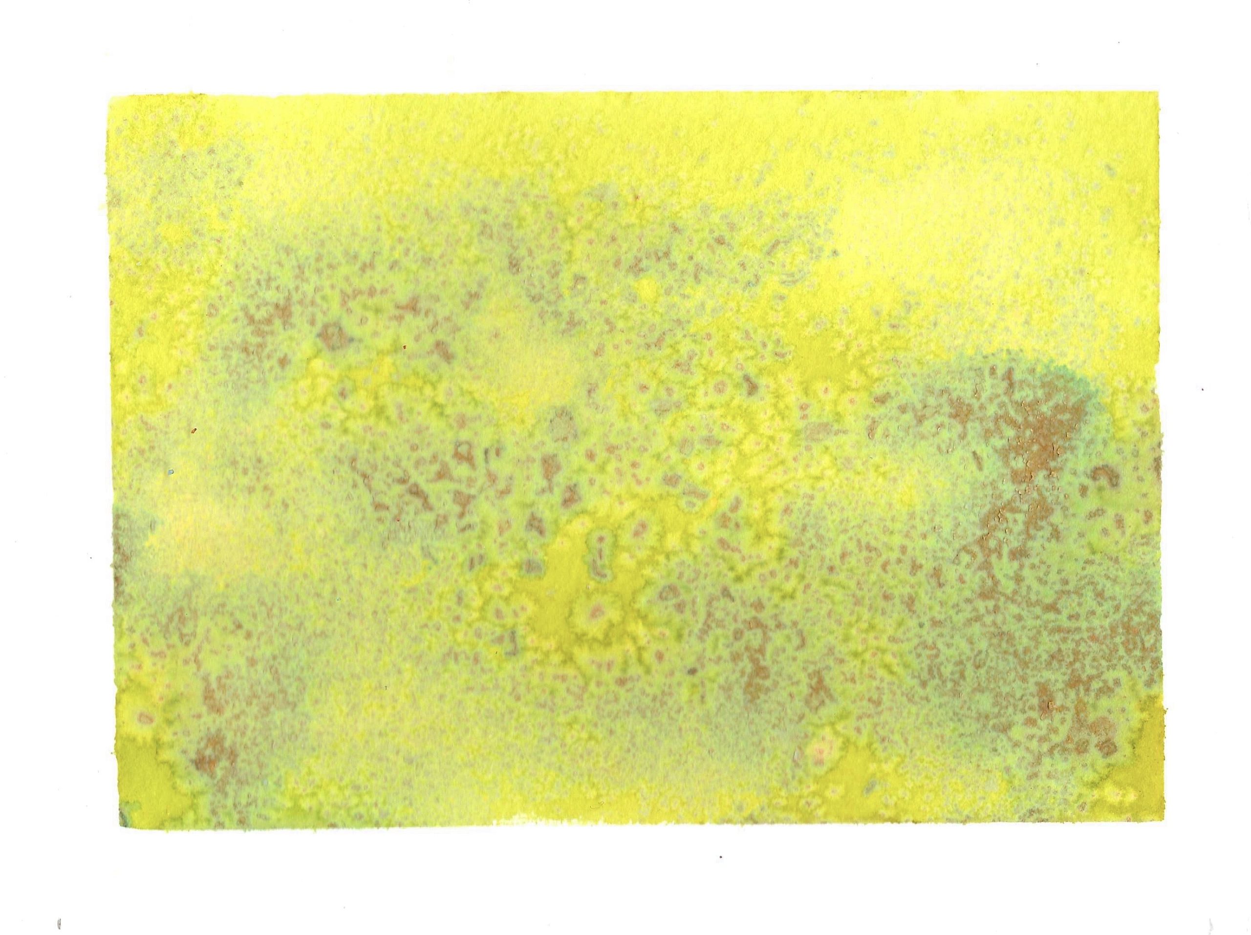 Limon - Original Painting