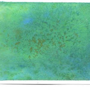 Verde #1