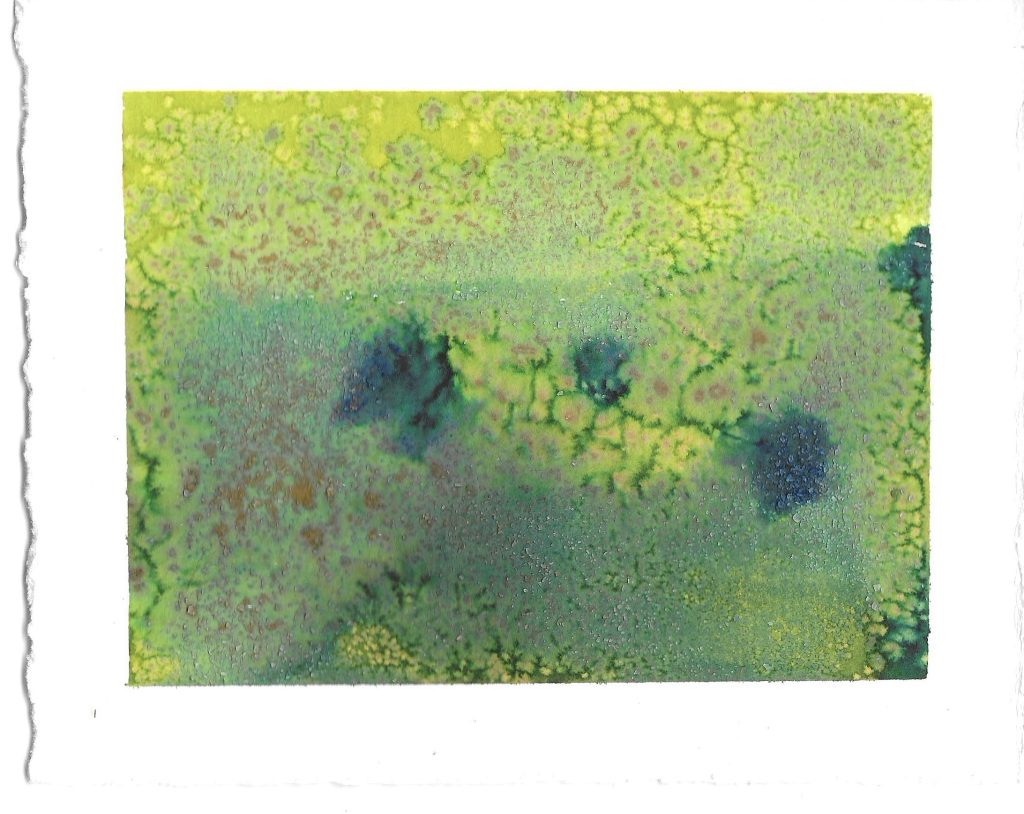 Verde #4