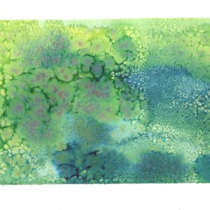 Verde #5