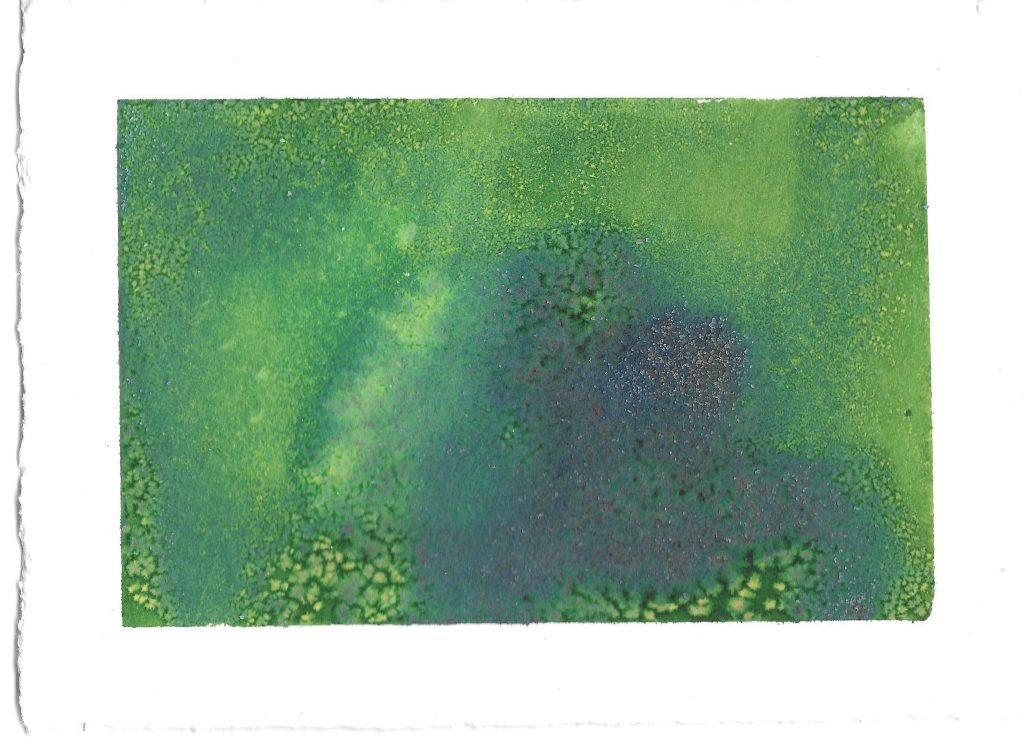 Verde #6