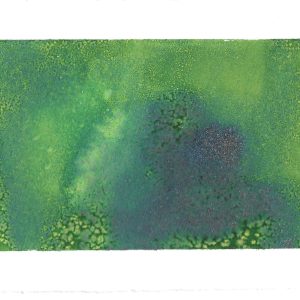 Verde #6