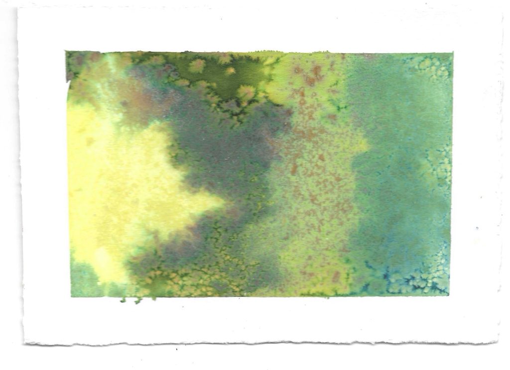 Verde #7