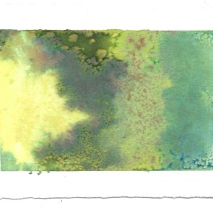 Verde #7